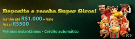 9560 Rede